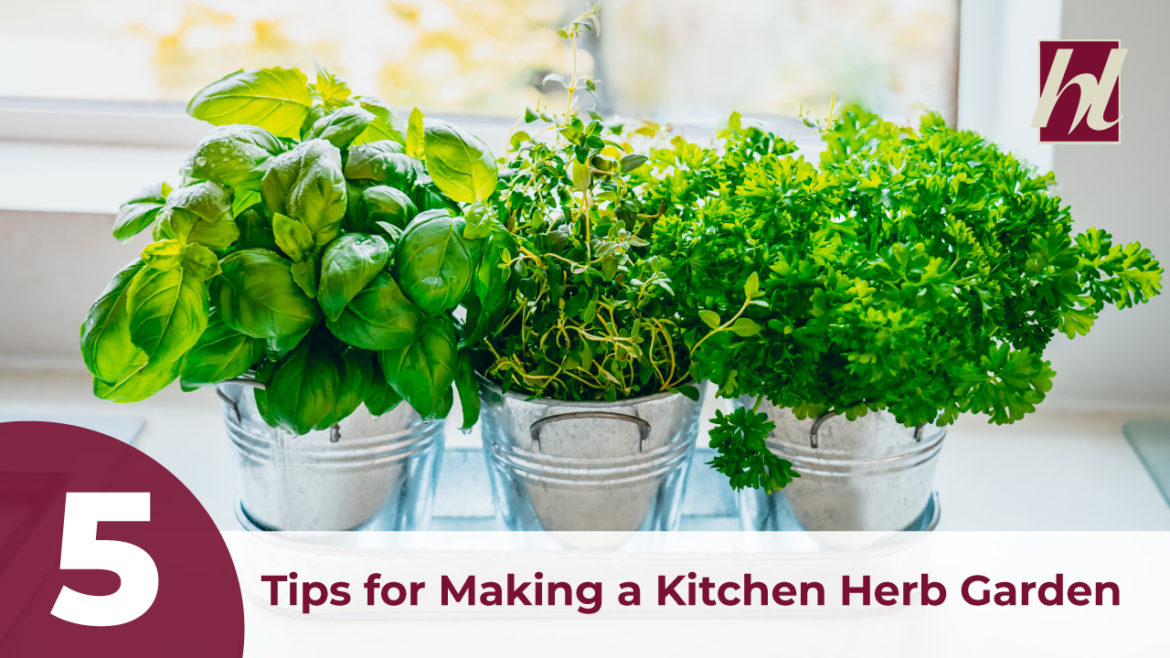 A House Lift blog banner featuring an image of three potted plants with text "5 Tips For Making A Kitchen Herb Garden"